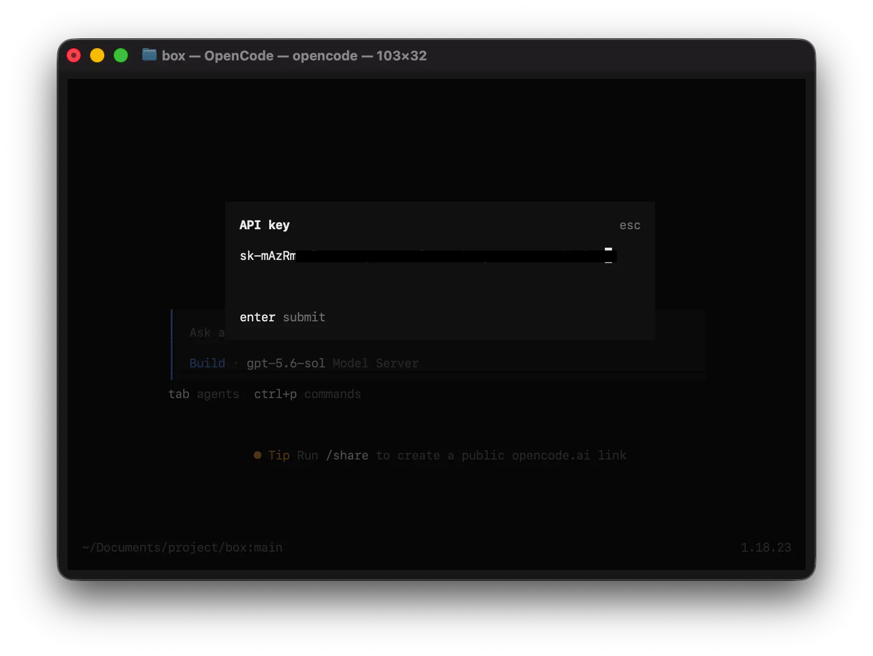 OpenCode 终端界面，显示输入 API Key 的提示