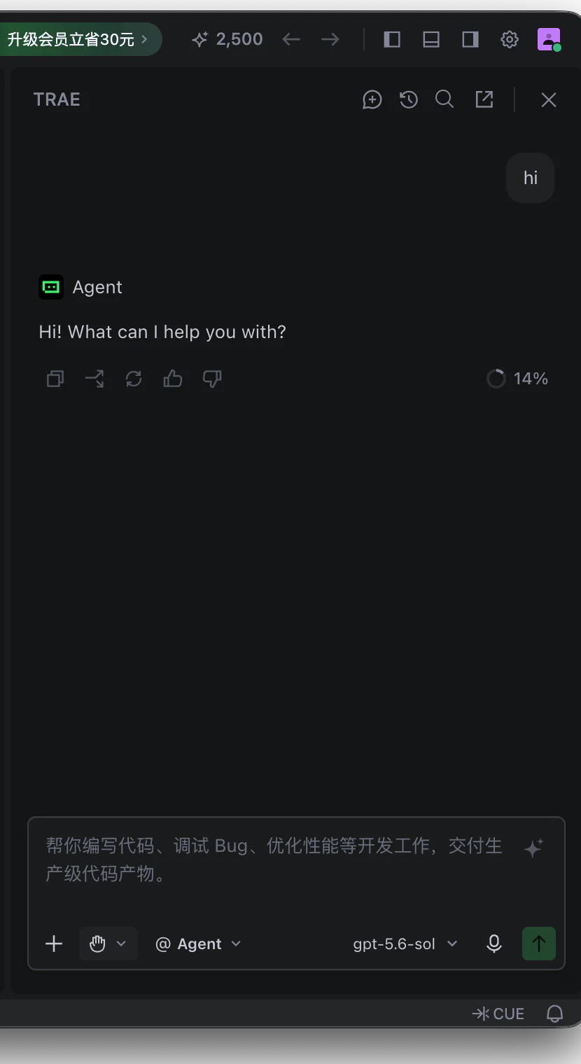 Trae Agent 面板显示用户 hi、模型正常回复，输入框底部显示已选择的自定义模型